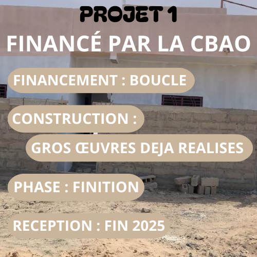 Projet 1 - Présentation visuelle